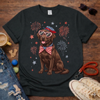 Choco Lab & Fireworks T-Shirt