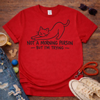 🌞Not a morning Person T-Shirt🌞