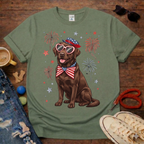 Choco Lab & Fireworks T-Shirt