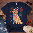 Golden & Fireworks T-Shirt