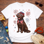 Choco Lab & Fireworks T-Shirt
