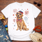 Golden & Fireworks T-Shirt